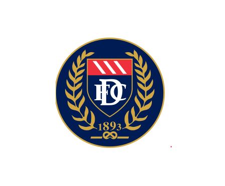 DFC Crest Car Sticker
