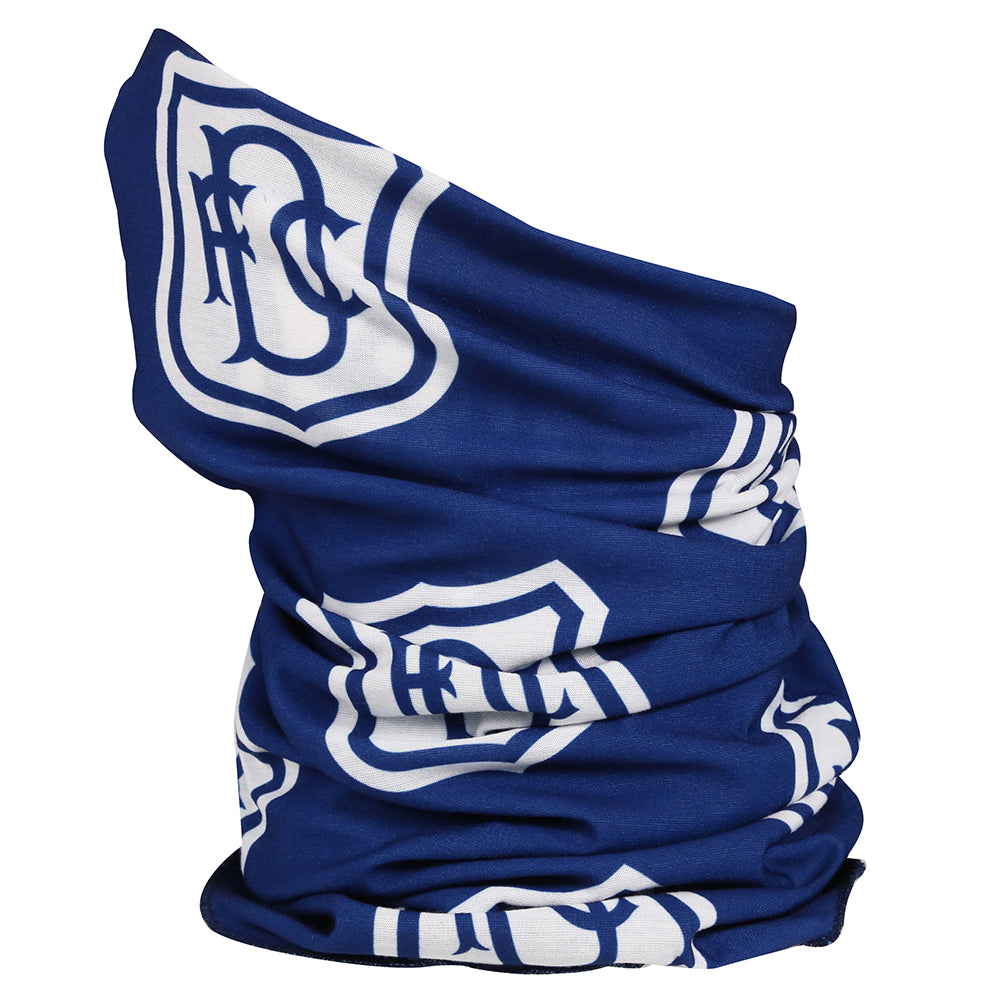 Reversible Snood/Face Cover